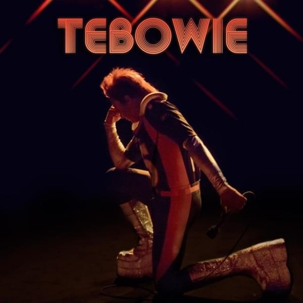 Tebowie (7" Vinyl)