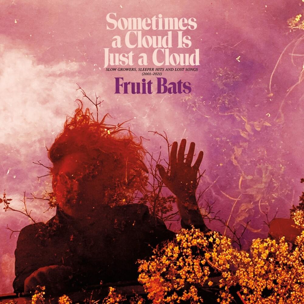 Sometimes a Cloud Is Just a Cloud: Slow Growers, Sleeper Hits and Lost Songs (2001–2021)