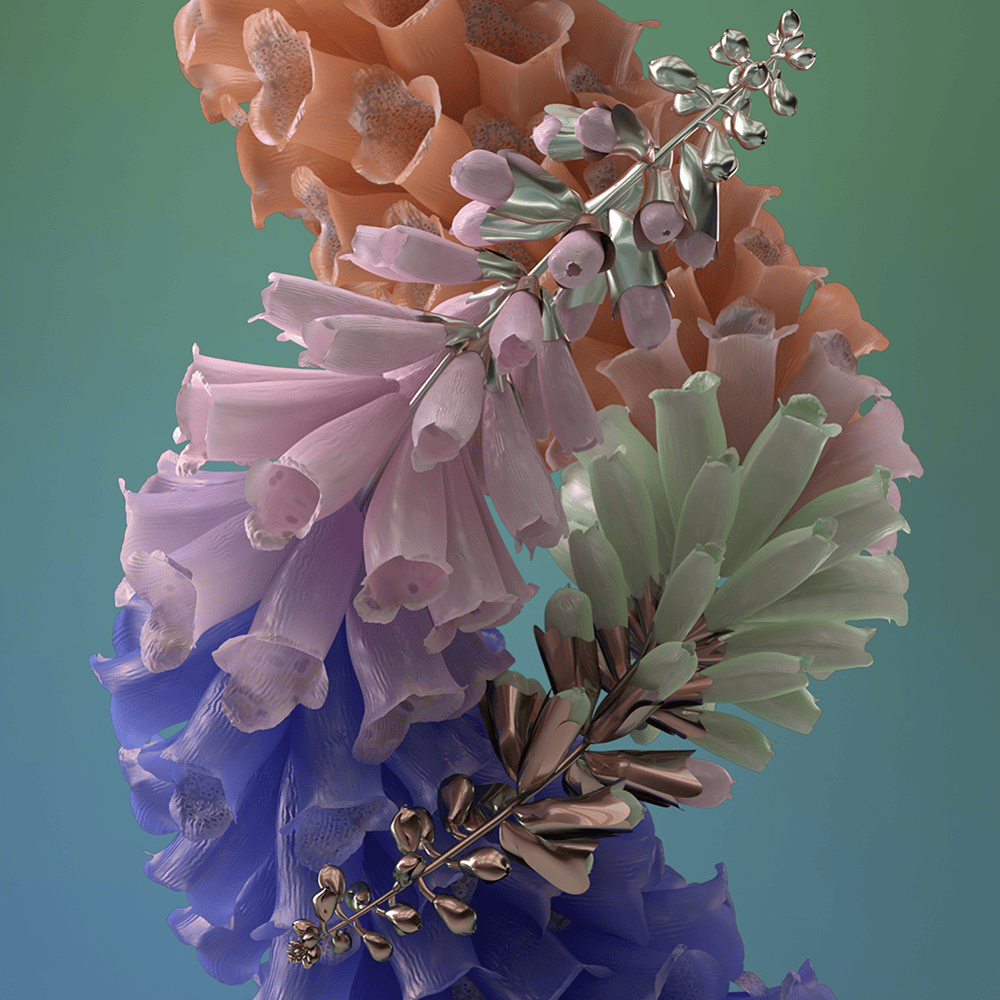 Foundation (NFT Collection)