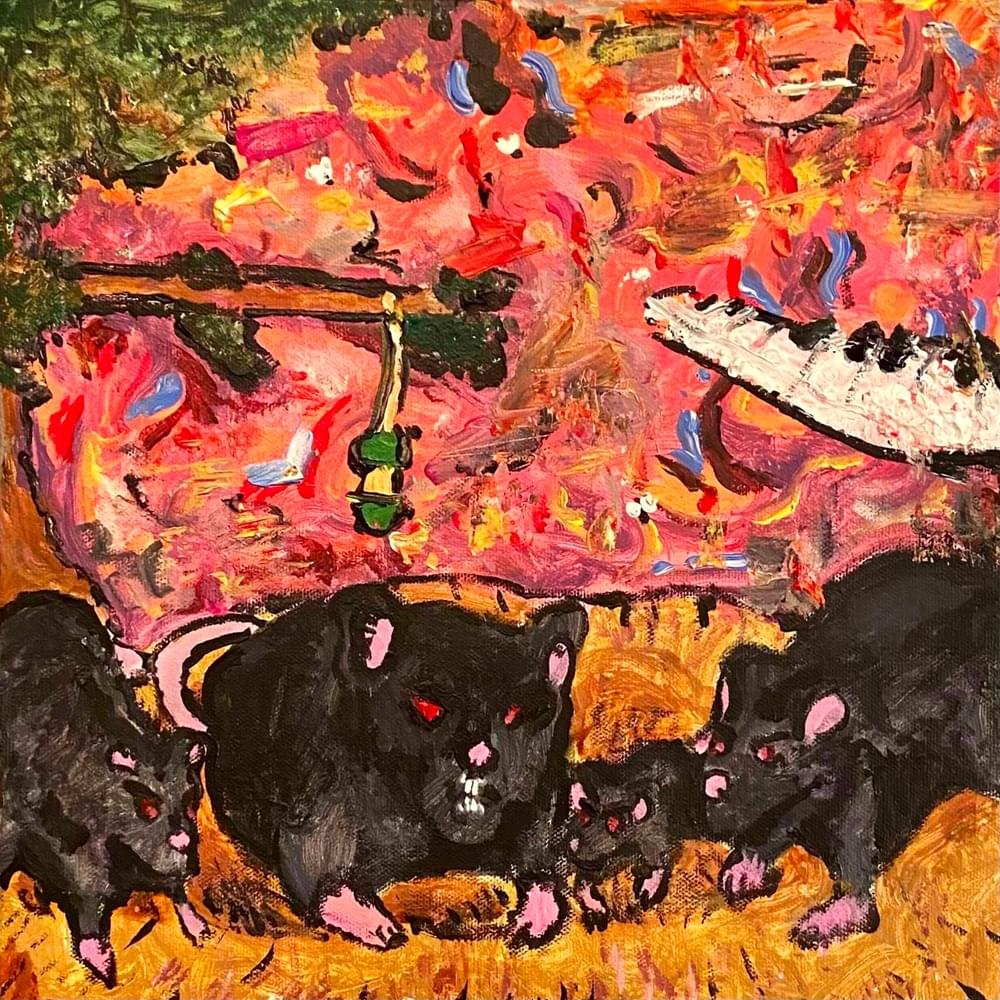 rat’s nest
