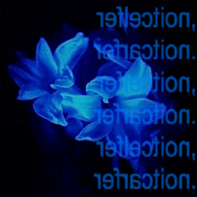 Reflection, Refraction