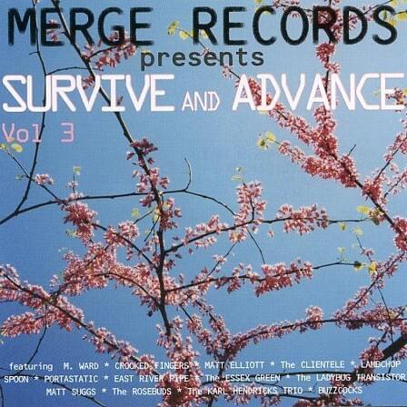 Survive and Advance Vol. 3
