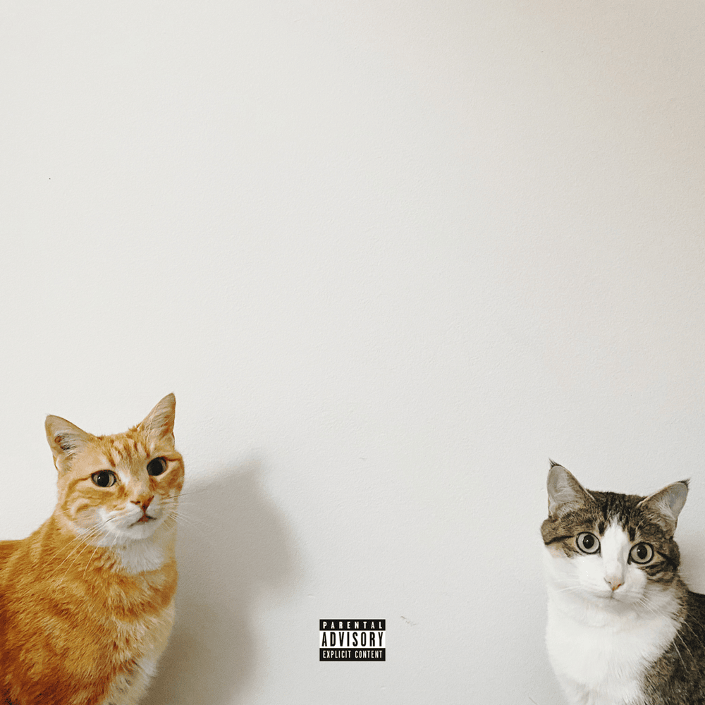 Dipro - Single