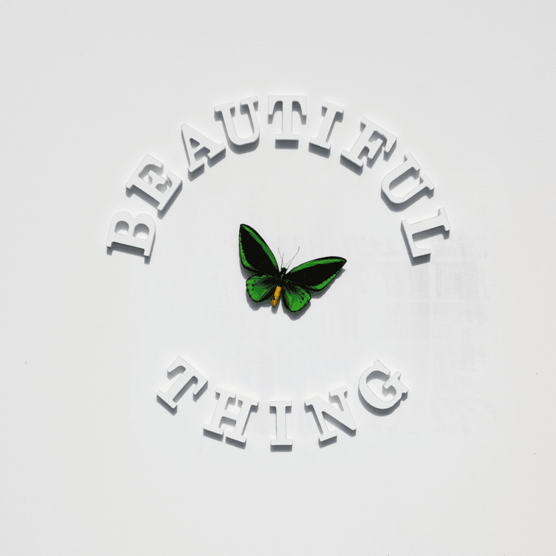 Beautiful Thing - Single