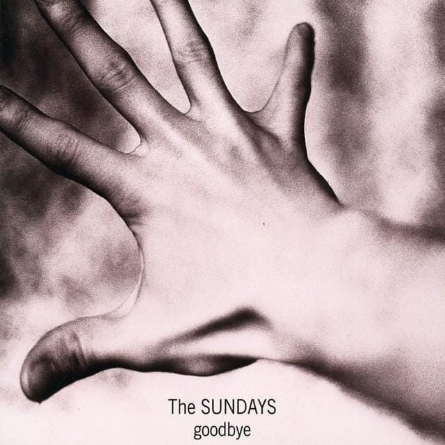 Goodbye - Single