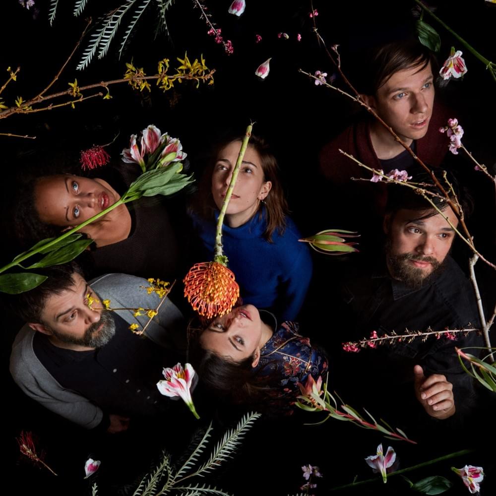 Dirty Projectors