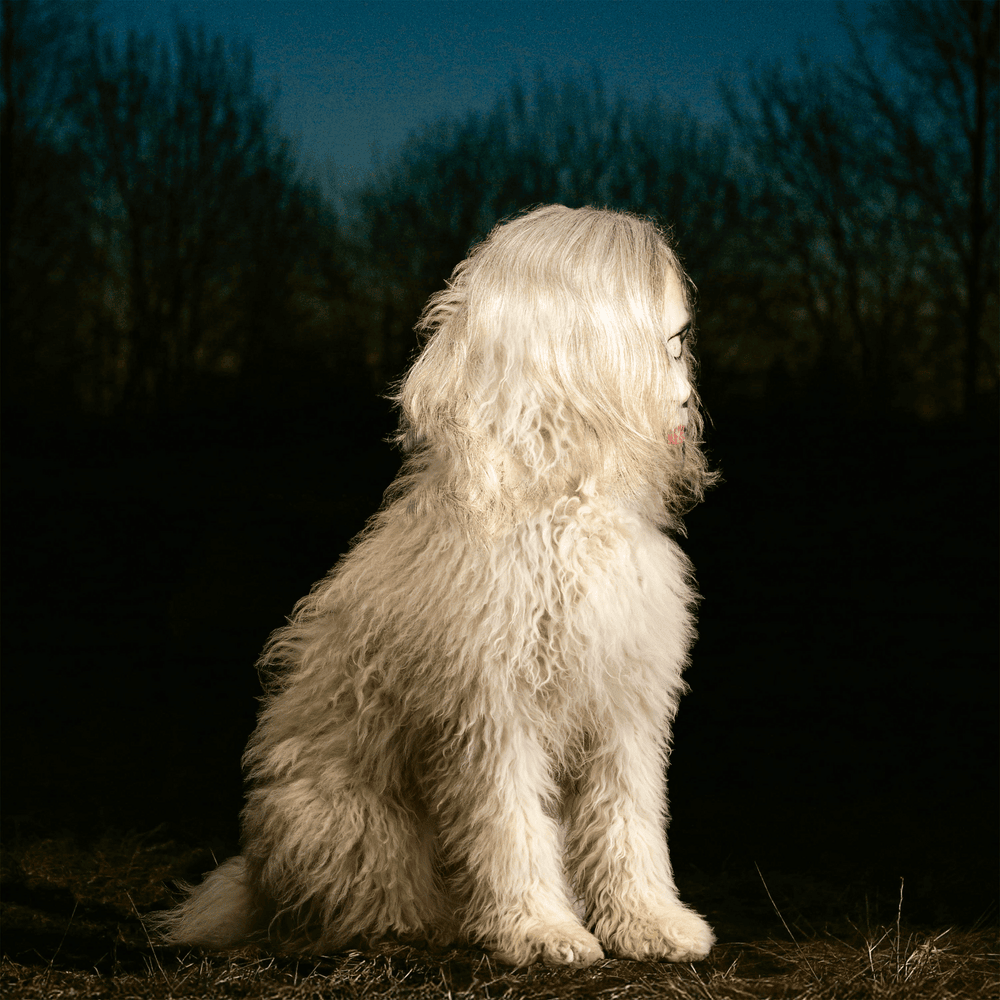 DOGA
