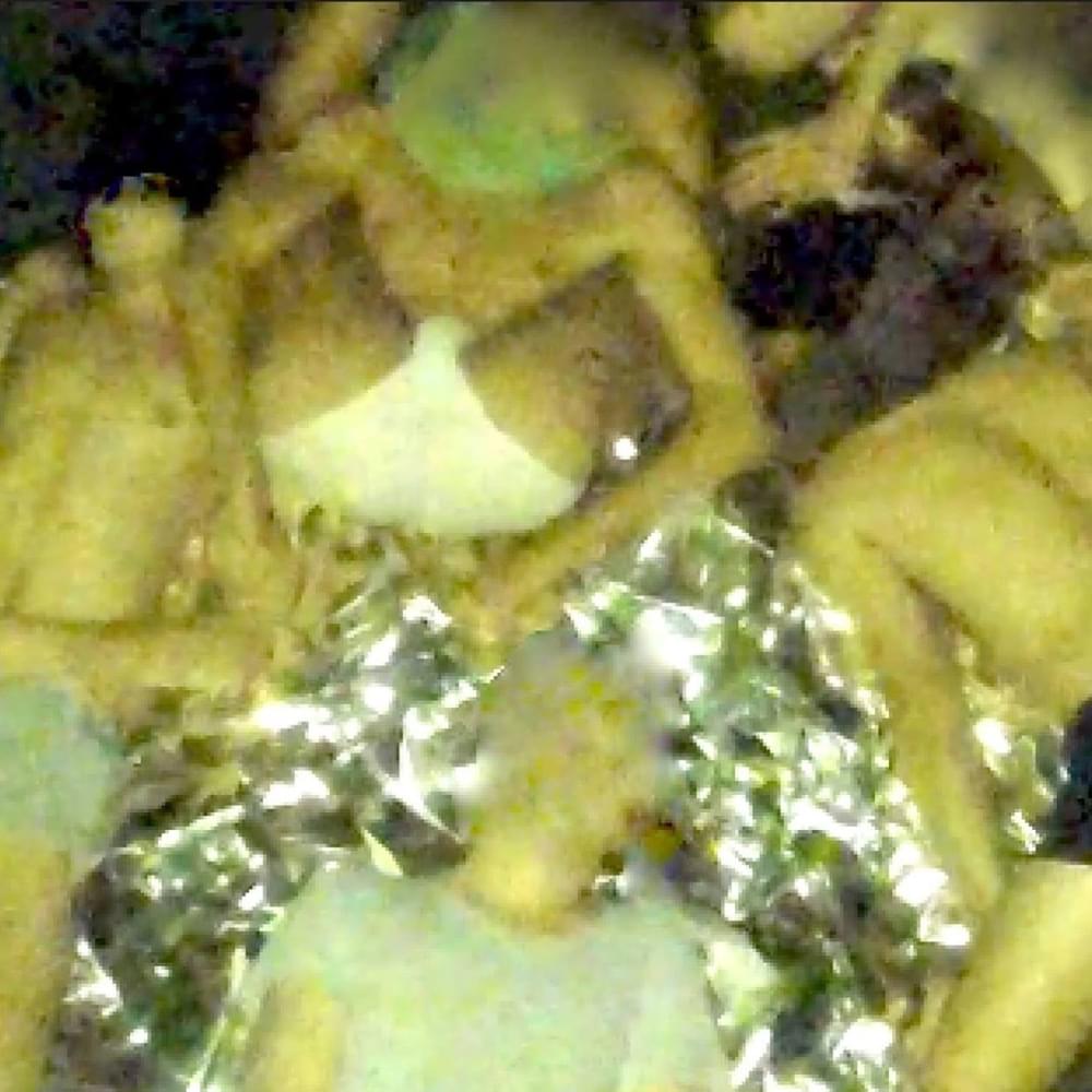 TACOBITCH