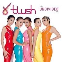 Undivided