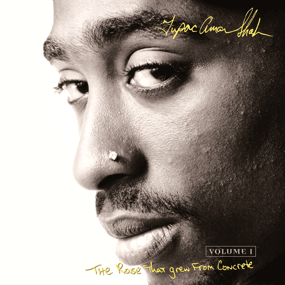 The Rose That Grew From Concrete, Vol. 1