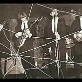 Spiders