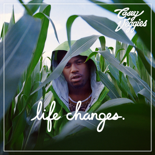 Life Changes 