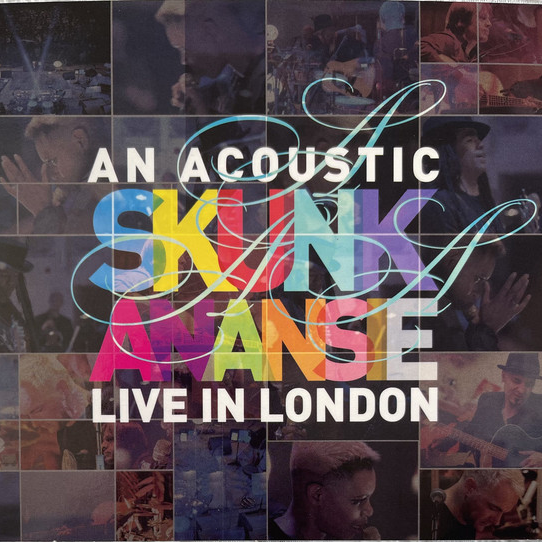 An Acoustic Skunk Anansie Live In London