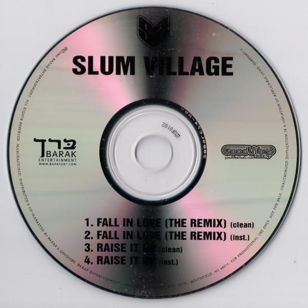 Fall In Love (The Remix)