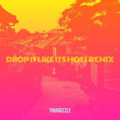 Drop It Like Its Hott Remix