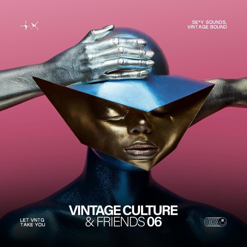 Vintage Culture & Friends, Vol. 6  (Pt. I)
