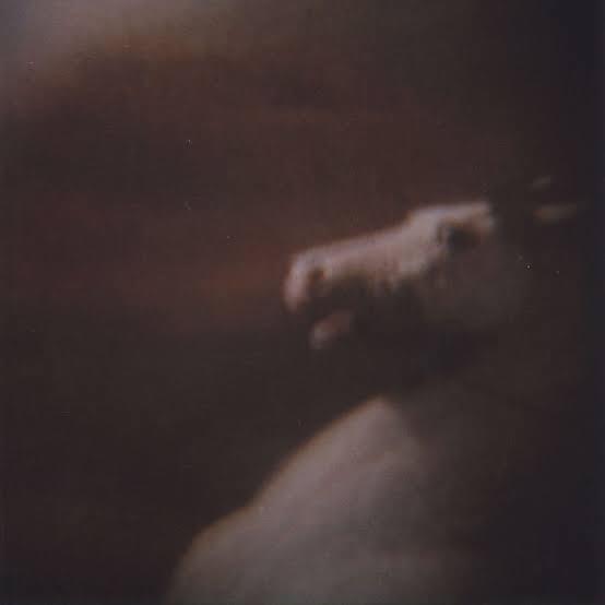 Looking for Things / Searching for Things - Single