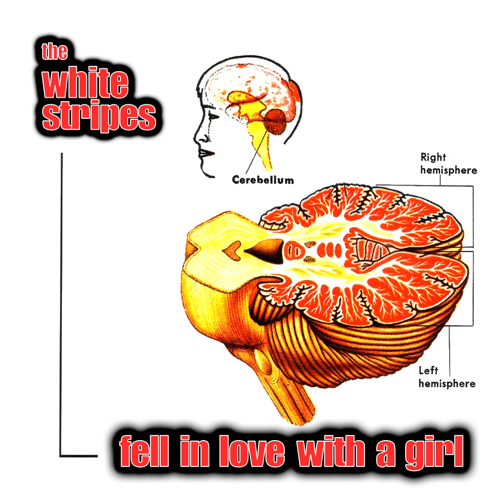 Fell in Love with a Girl