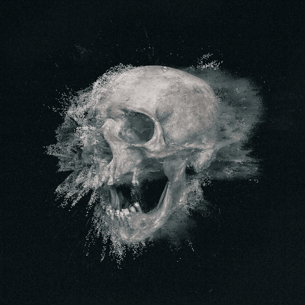 Skeletonise