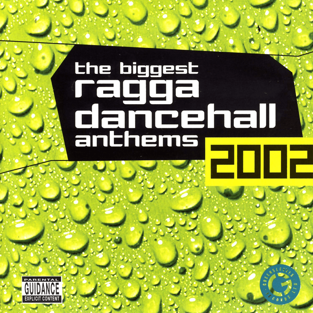 The Biggest Ragga Dancehall Anthems 2002 - Various Artists