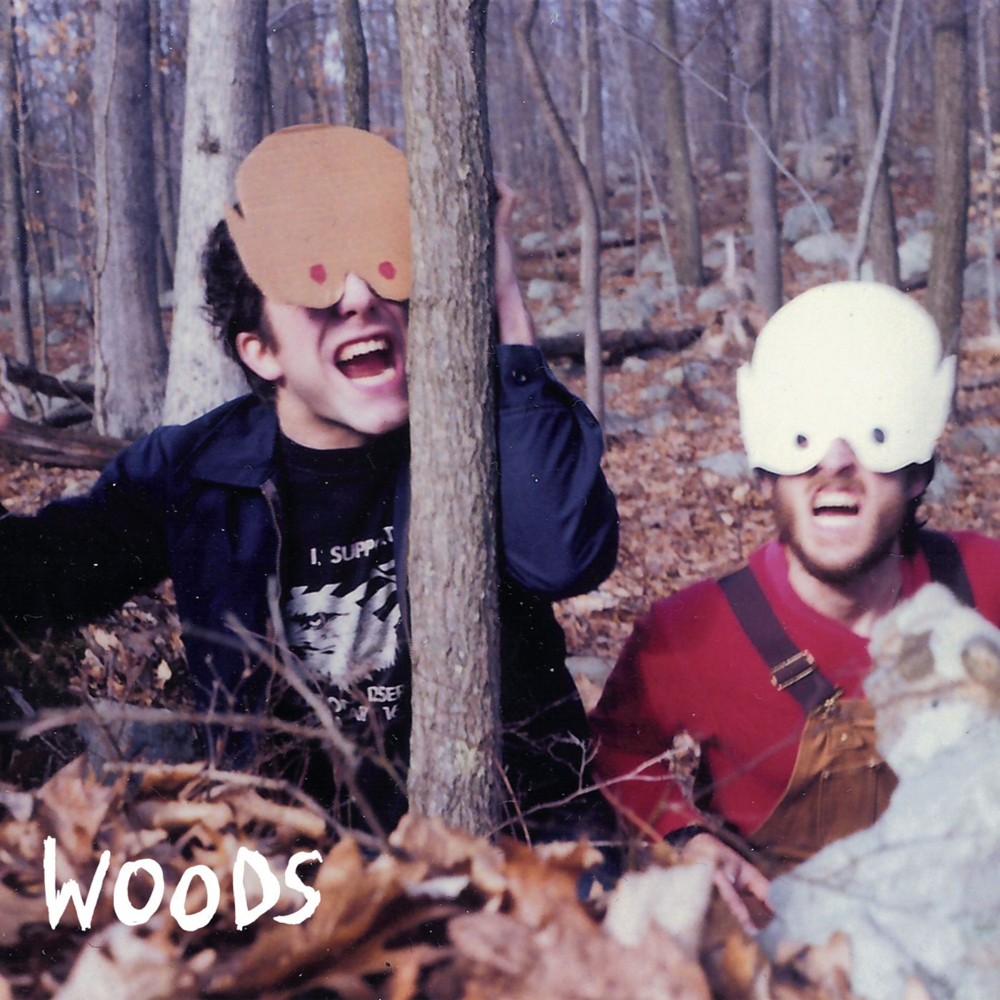 How to Survive In/In the Woods