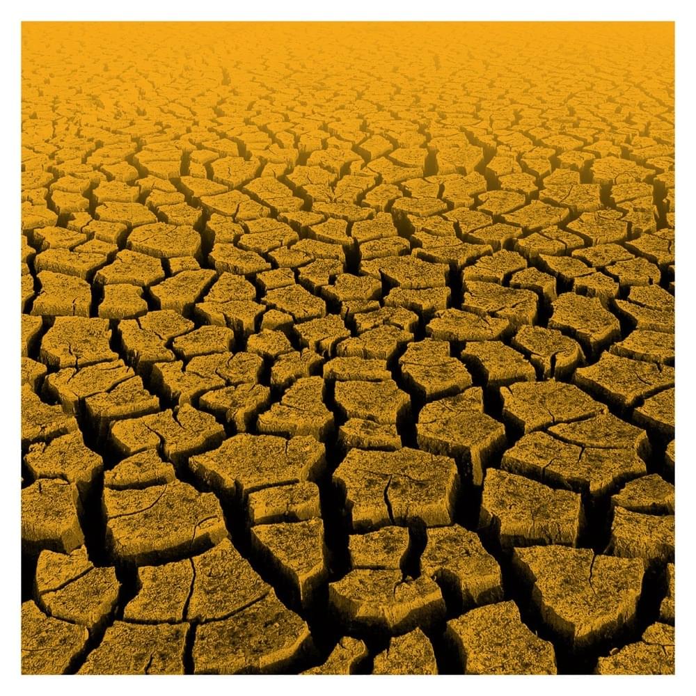 But I Did Not - Single