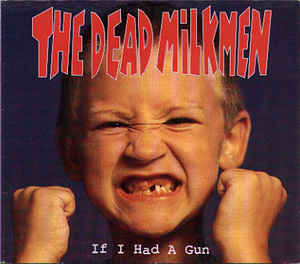 If I Had a Gun