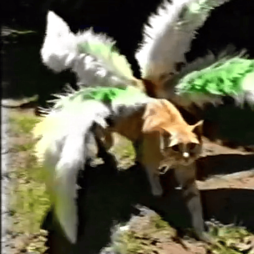 Nadddot