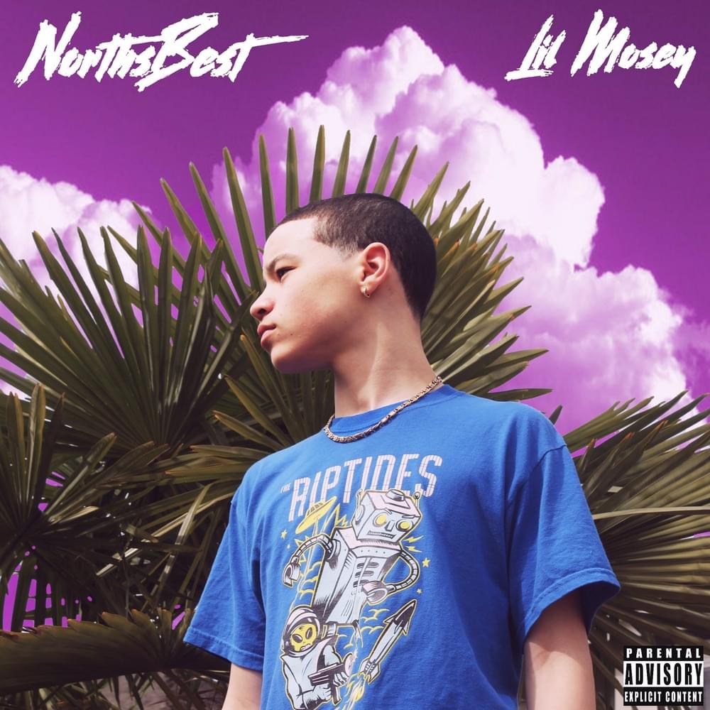 NorthsBest (Mixtape)