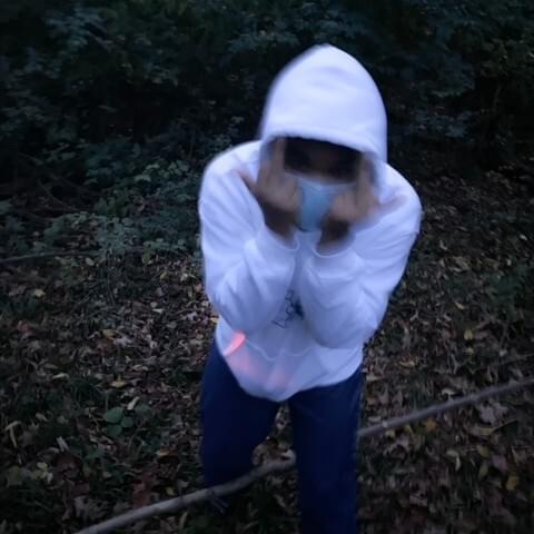 Plsbug