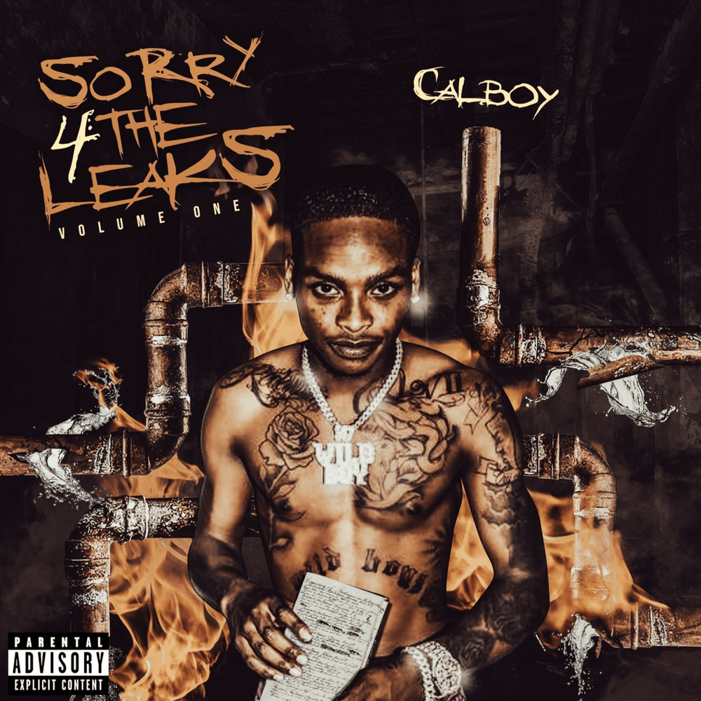 Sorry 4 the Leaks, Vol. 1