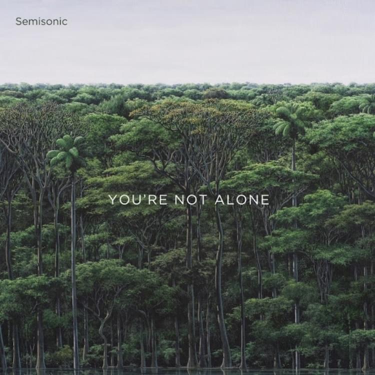 You’re Not Alone - EP