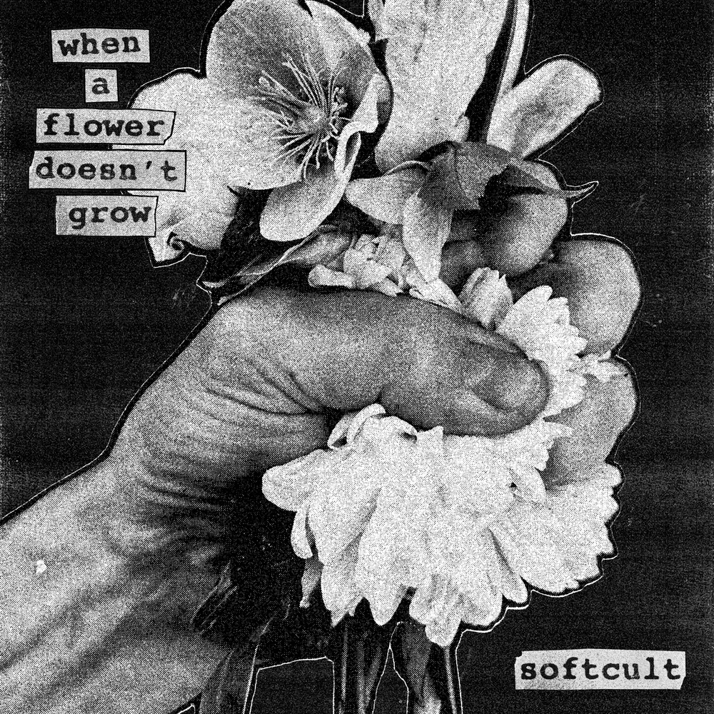 When A Flower Doesn’t Grow