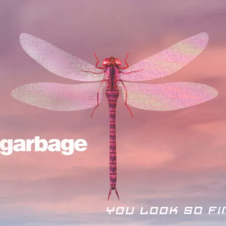 You Look So Fine - Single