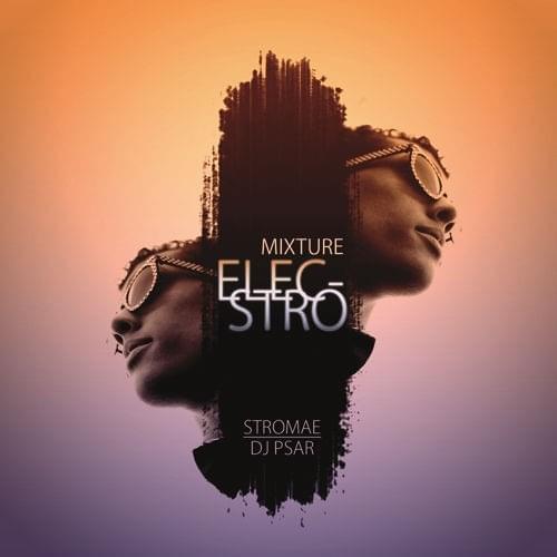 Mixture Elecstro