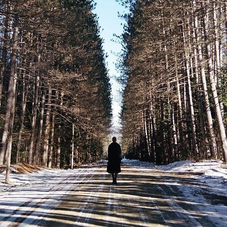 The Woods