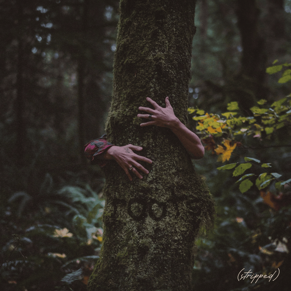 roots (stripped)
