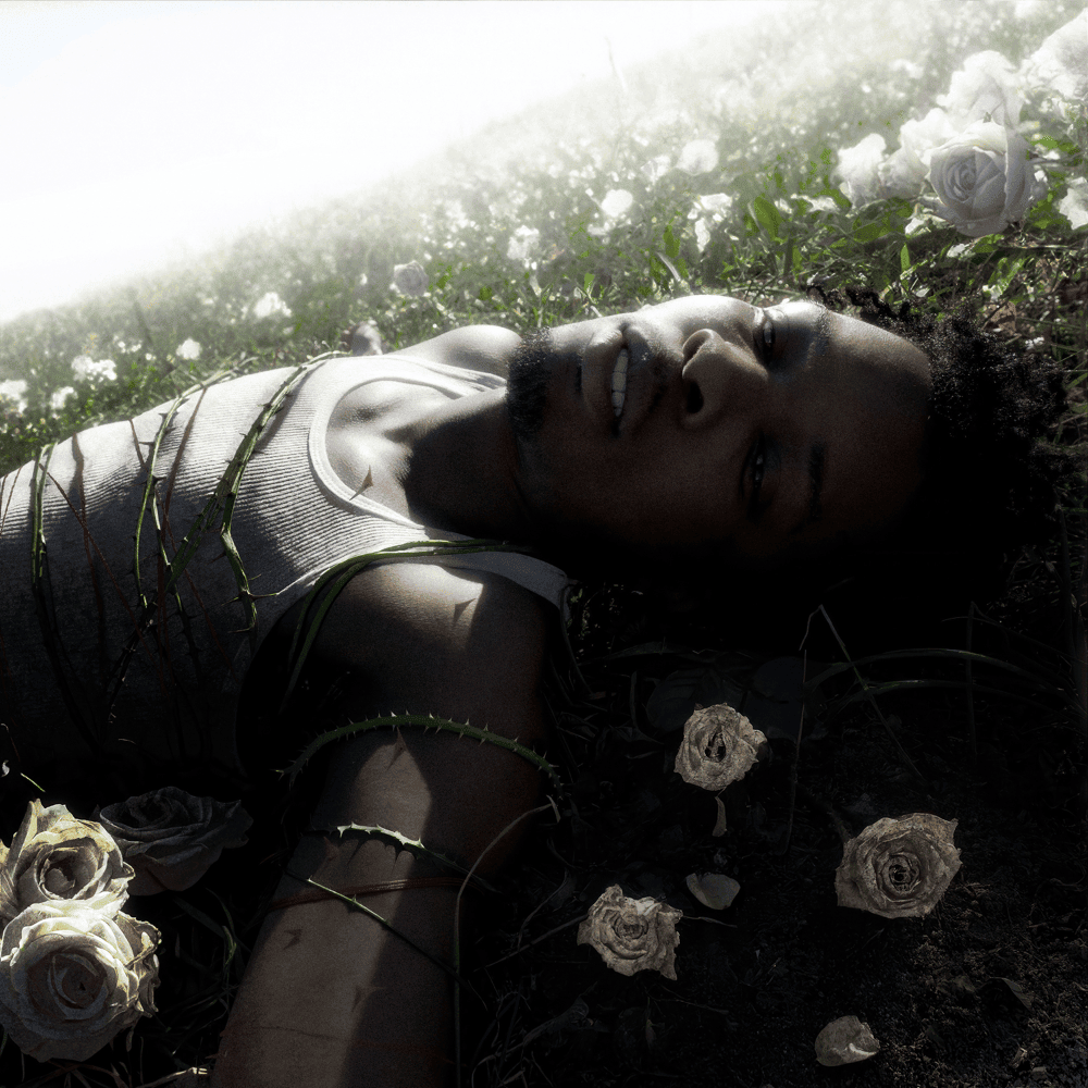 WITHERED (Physical Version)