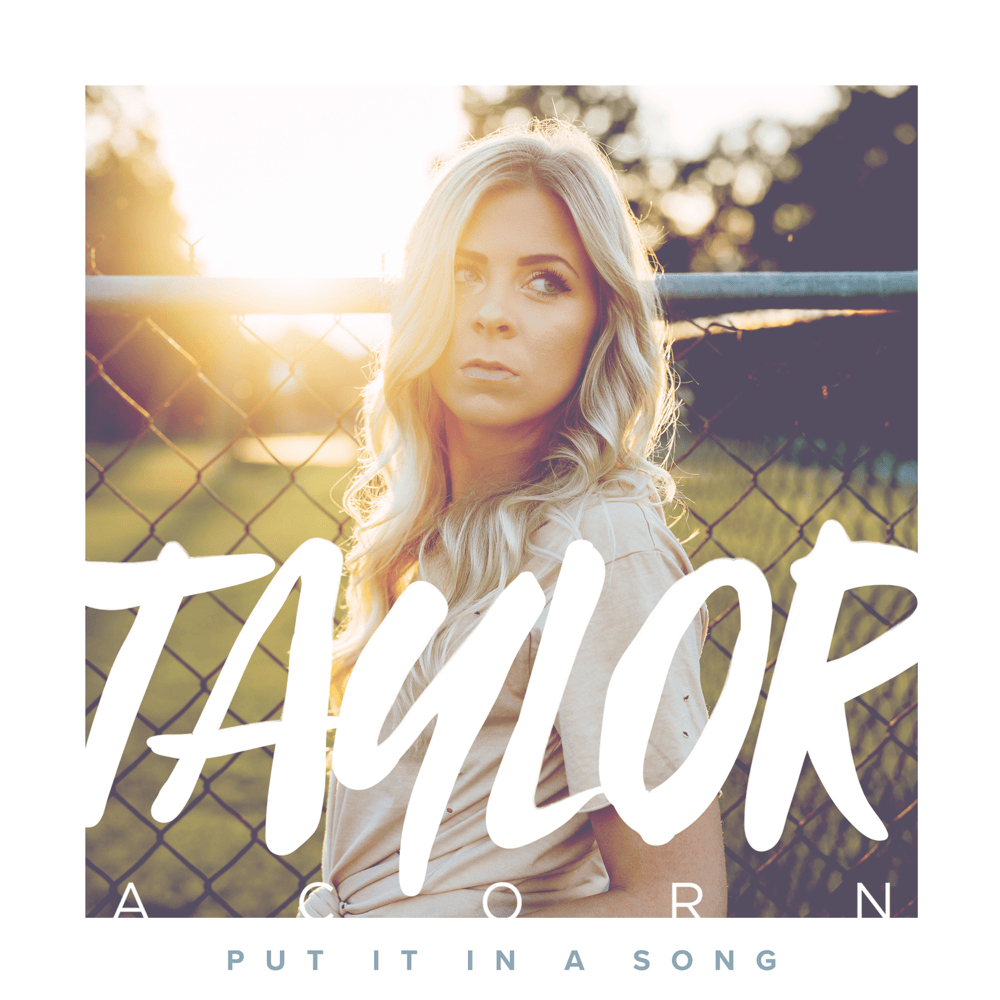 Put It In A Song - EP