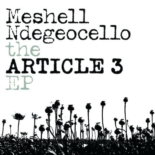 The Article 3 - EP