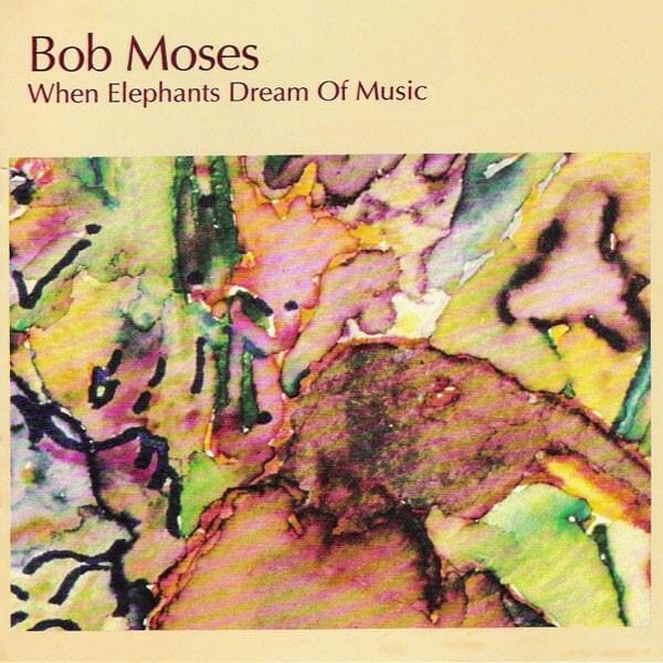 When Elephants Dream of Music