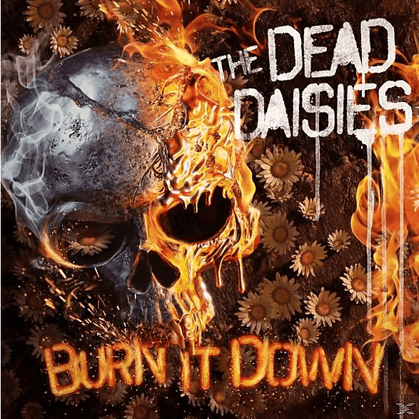 Burn it Down
