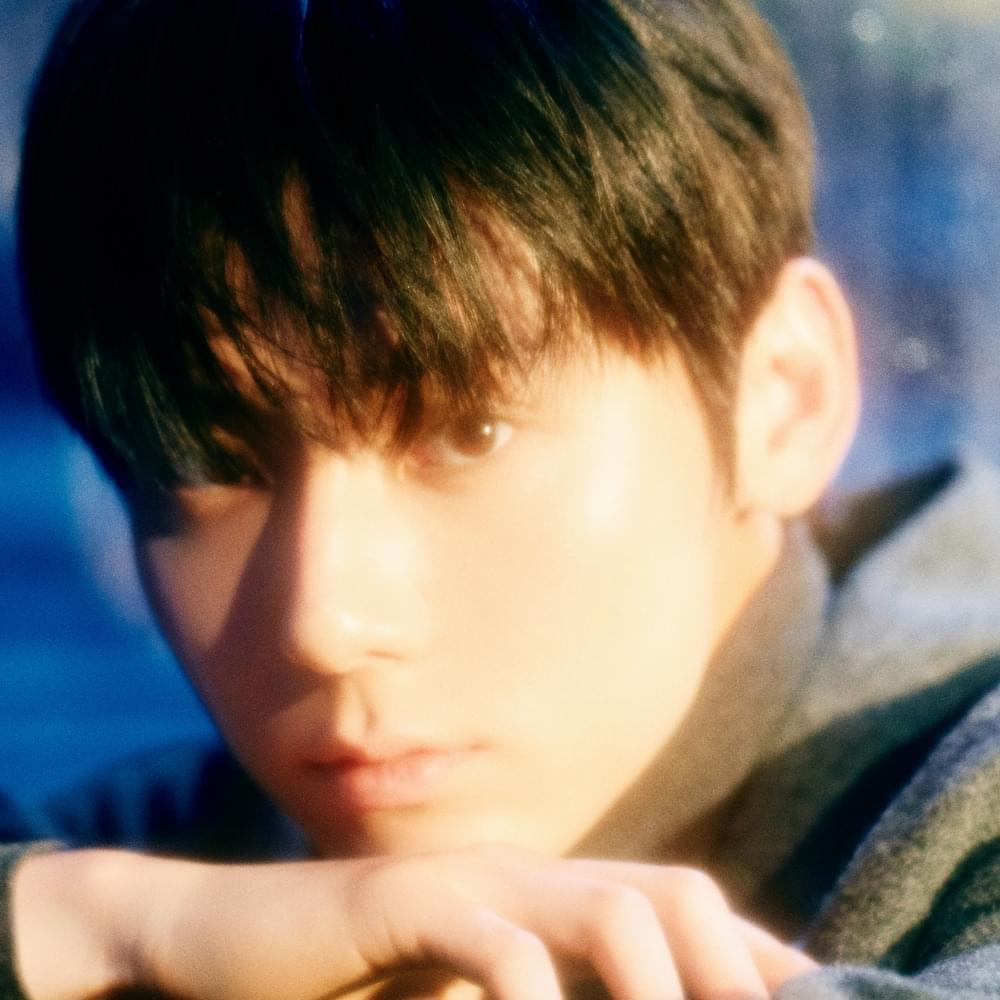 HWANG MIN HYUN (황민현)