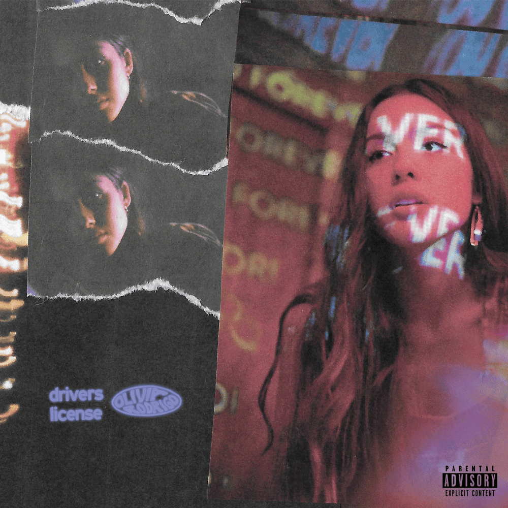 drivers license (4" Vinyl)