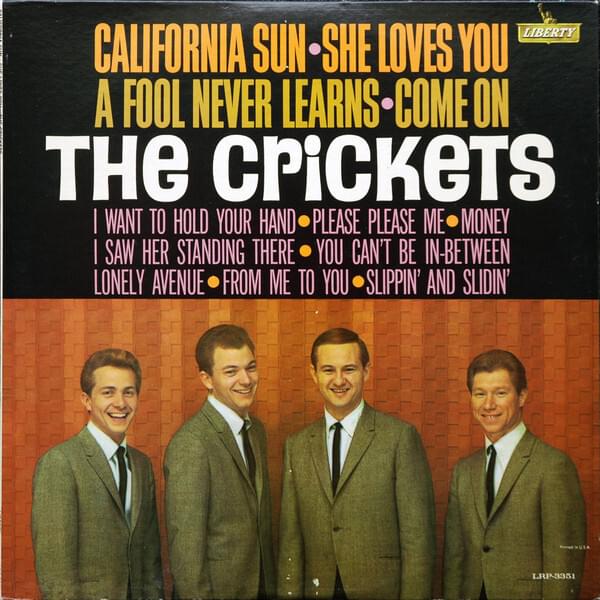 California Sun / She Loves You