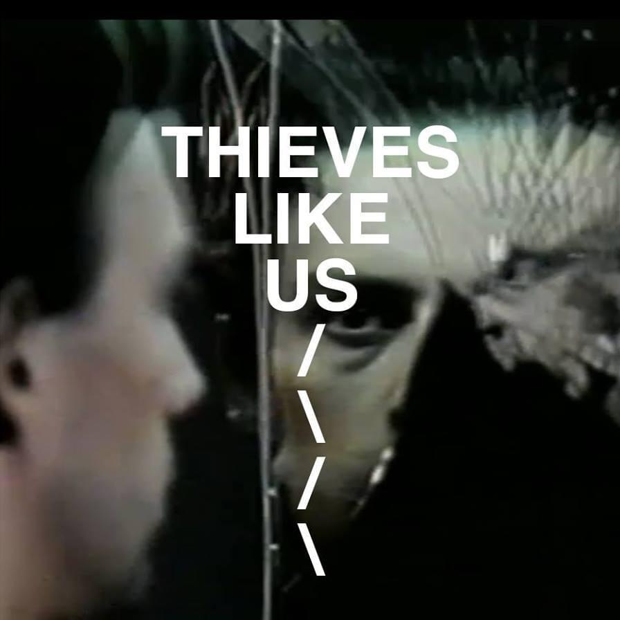 Thieves Like Us