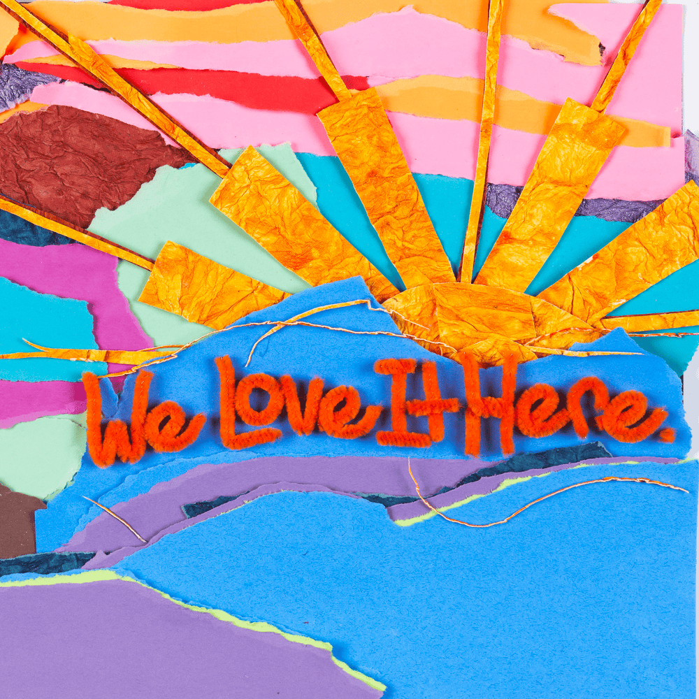 We Love It Here. A Benefit Compilation for Lamplight AVL