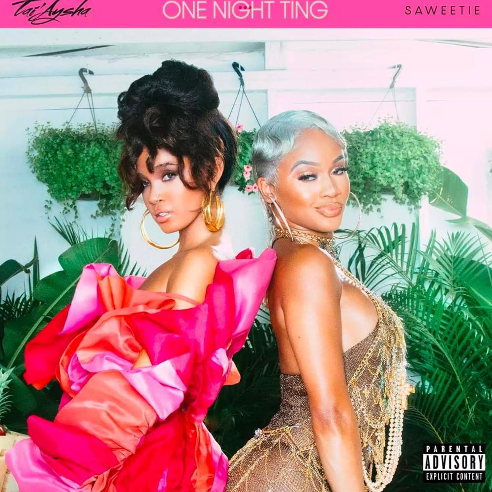 One Night Ting (feat. Saweetie) - Single