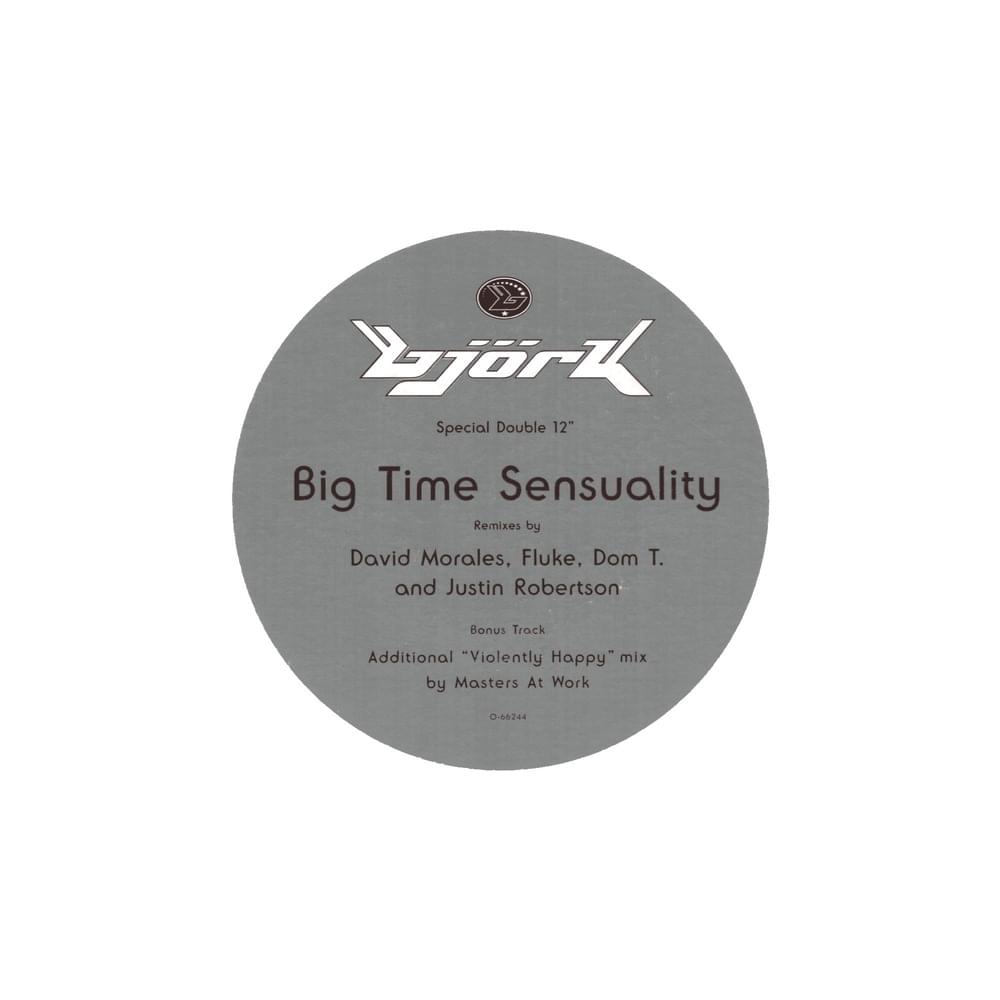 Big Time Sensuality (Special Double 12")