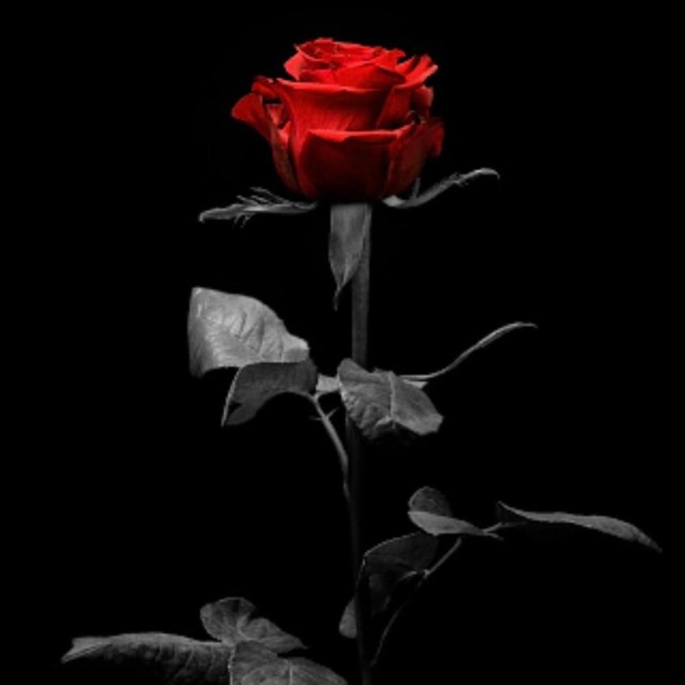 Two Hearts